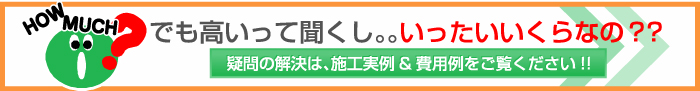 でも高いって聞くし。。いったいいくらなの？？！疑問の解決は、施工実例&費用例をご覧ください!!